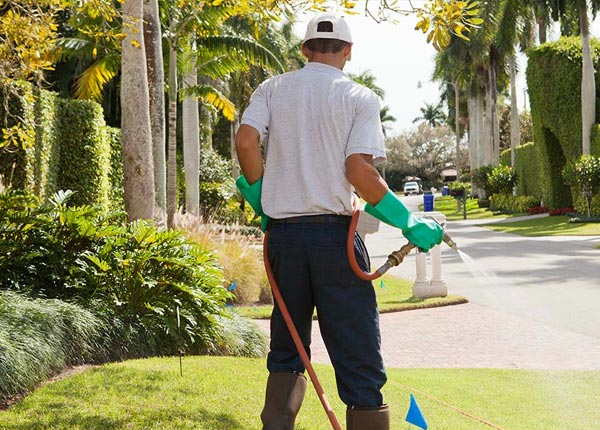 About Belmont CA Pest Control Pros